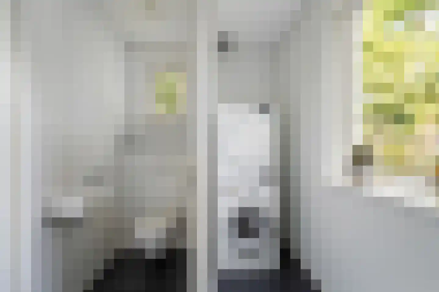 Aletta Jacobshage 3 Emmeloord thumbnail 26