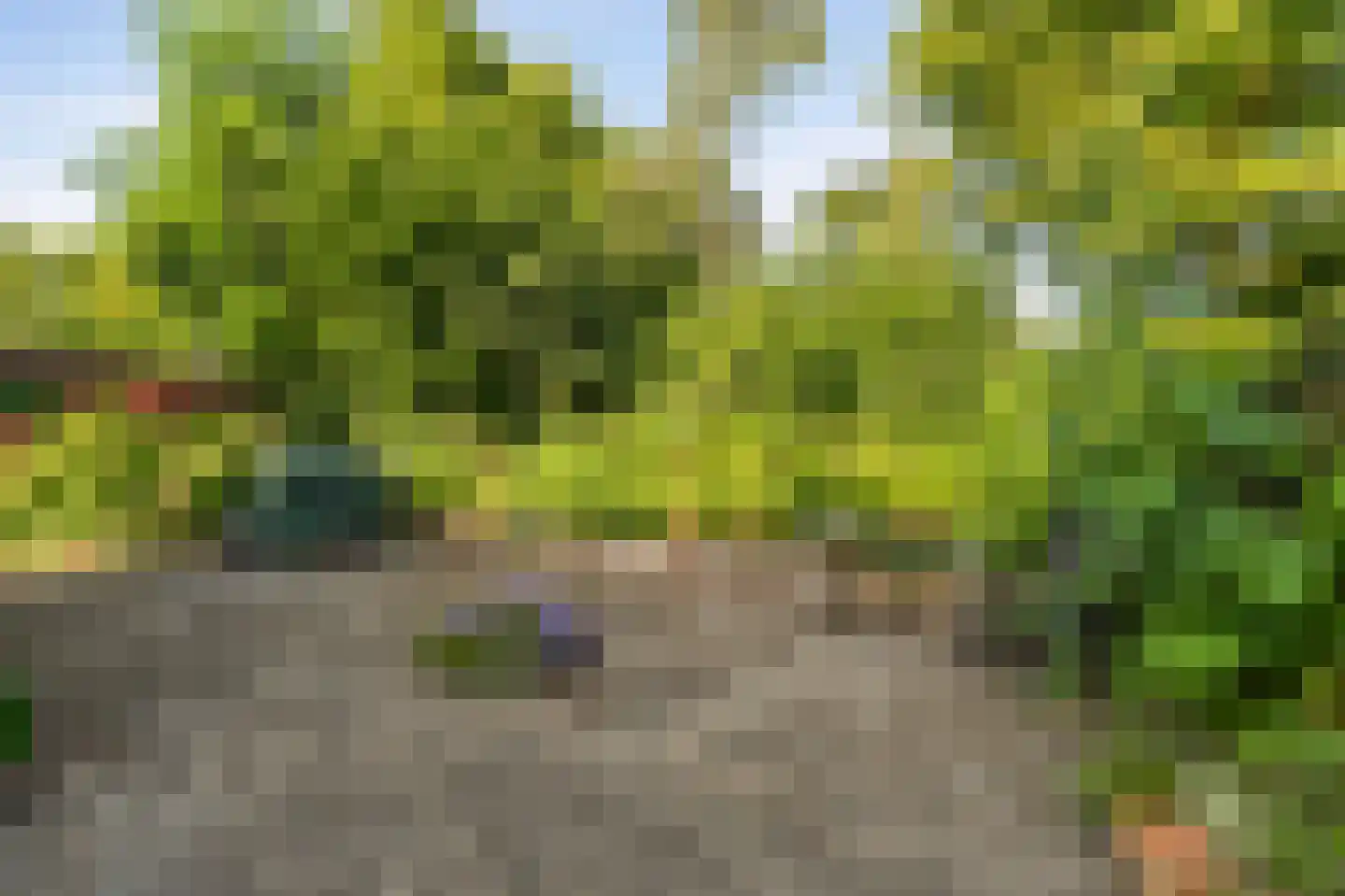 Aletta Jacobshage 3 Emmeloord thumbnail 31