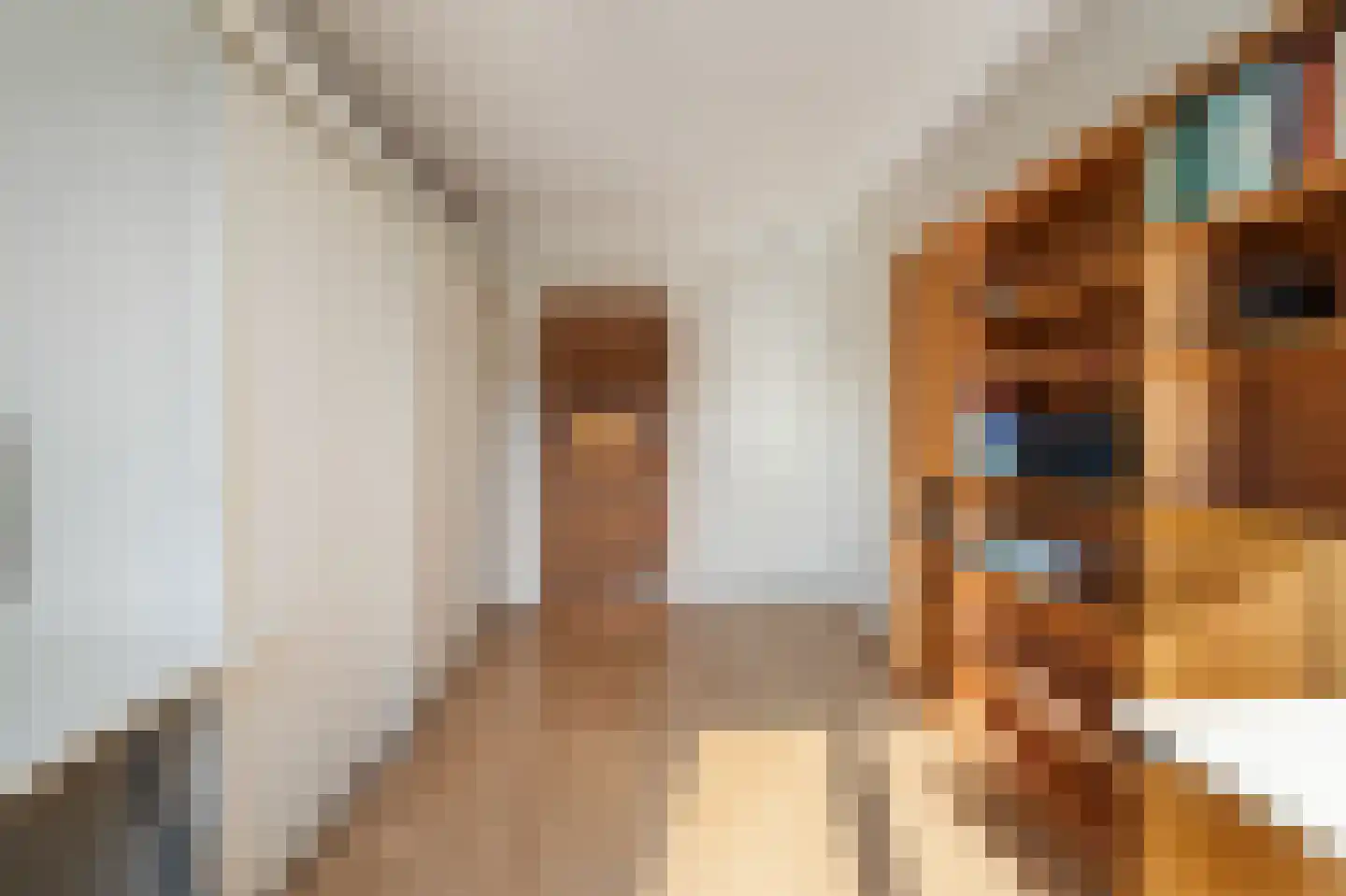 Aletta Jacobshage 3 Emmeloord thumbnail 49
