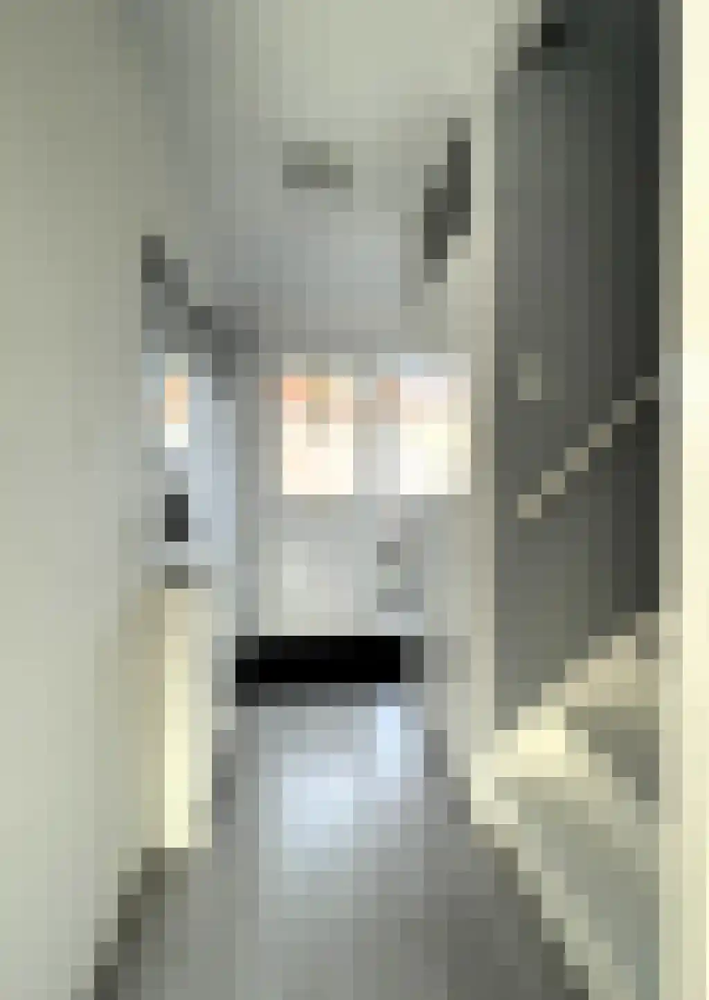 Aletta Jacobshoeve 12 Waddinxveen thumbnail 6