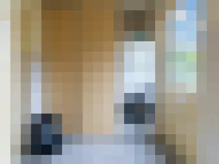 Aletta Jacobshoeve 3 Zutphen thumbnail 12