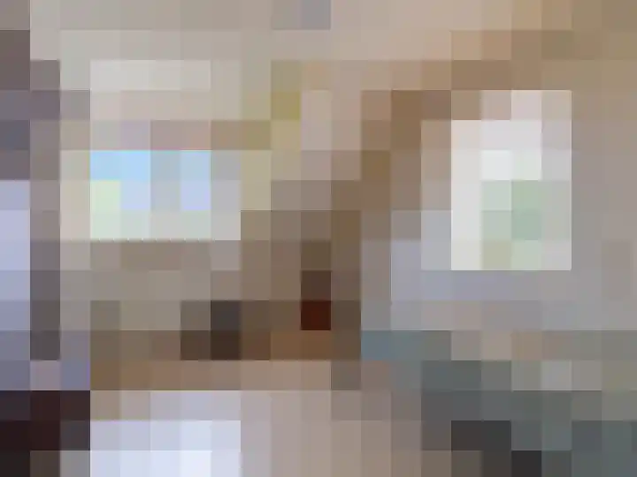 Aletta Jacobshoeve 3 Zutphen thumbnail 19