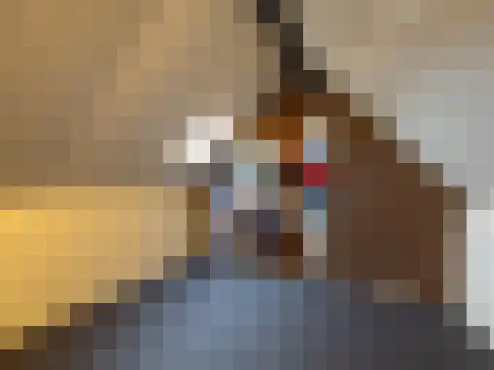 Aletta Jacobshoeve 3 Zutphen thumbnail 22