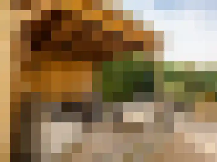 Aletta Jacobshoeve 3 Zutphen thumbnail 26
