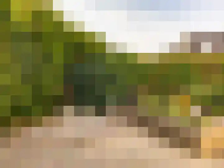 Aletta Jacobshoeve 3 Zutphen thumbnail 28