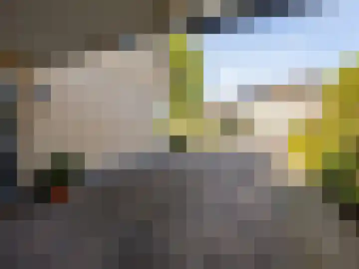 Aletta Jacobshoeve 3 Zutphen thumbnail 35