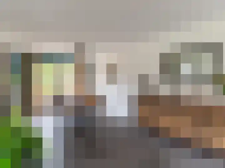 Aletta Jacobshoeve 3 Zutphen thumbnail 7