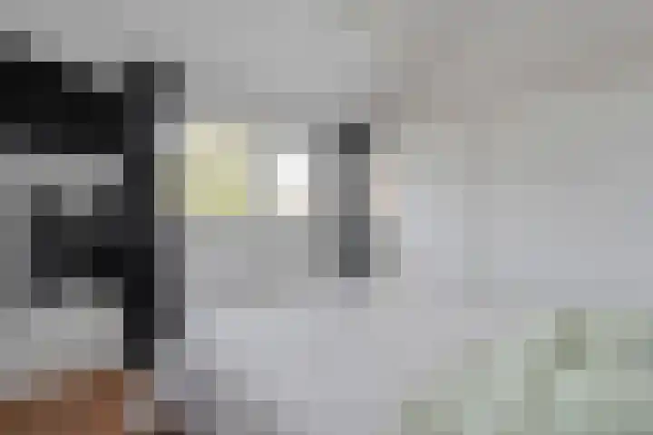 Aletta Jacobshof 52 Hoogeveen thumbnail 18