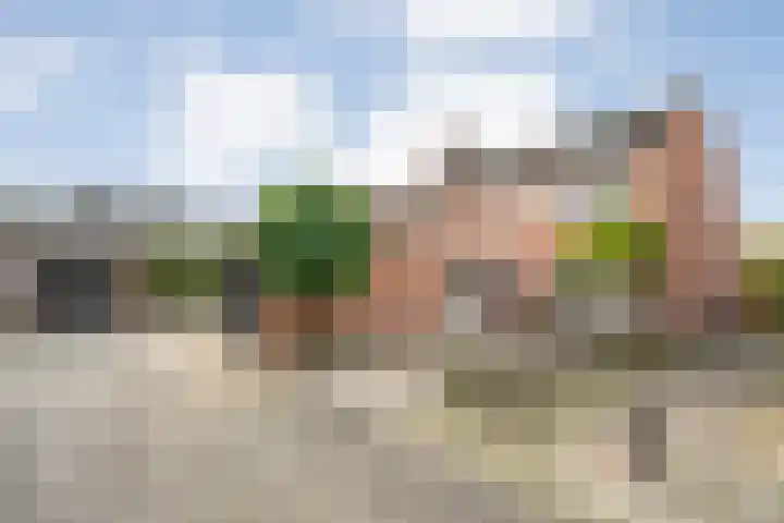 Aletta Jacobshof 52 Hoogeveen thumbnail 37