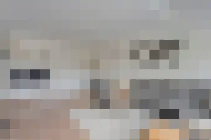 Aletta Jacobshof 52 Hoogeveen thumbnail 4