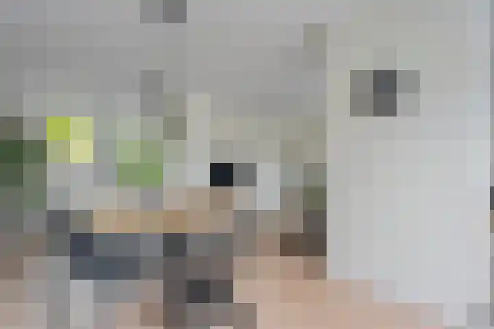 Aletta Jacobshof 52 Hoogeveen thumbnail 8