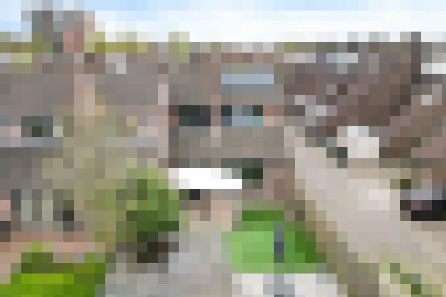 Aletta Jacobshof 56 Hoogeveen thumbnail 29