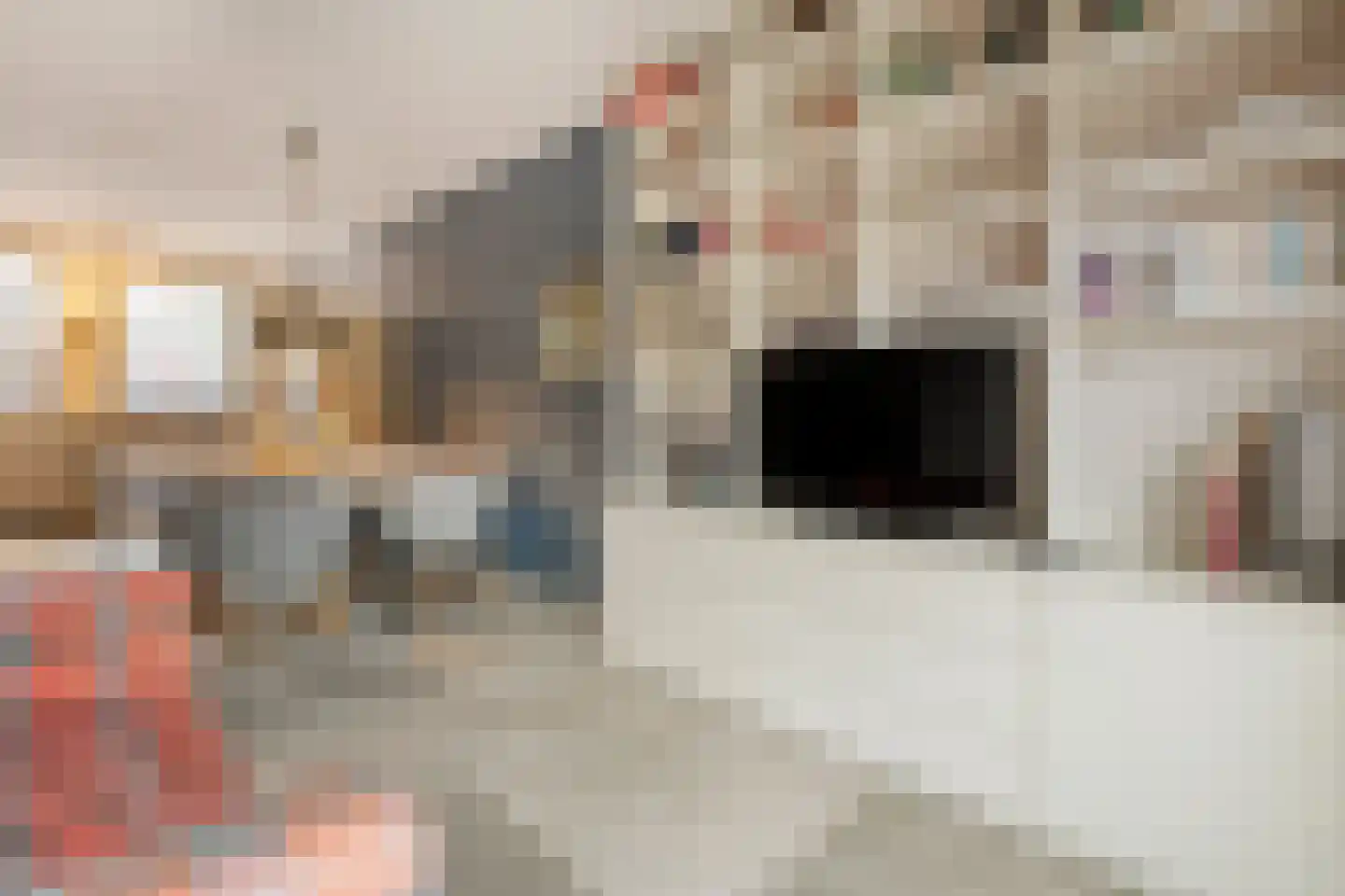 Aletta Jacobshof 62 Hoogeveen thumbnail 5