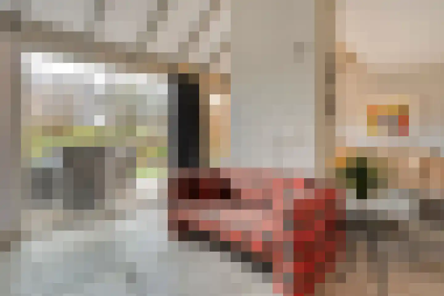 Aletta Jacobshof 62 Hoogeveen thumbnail 6