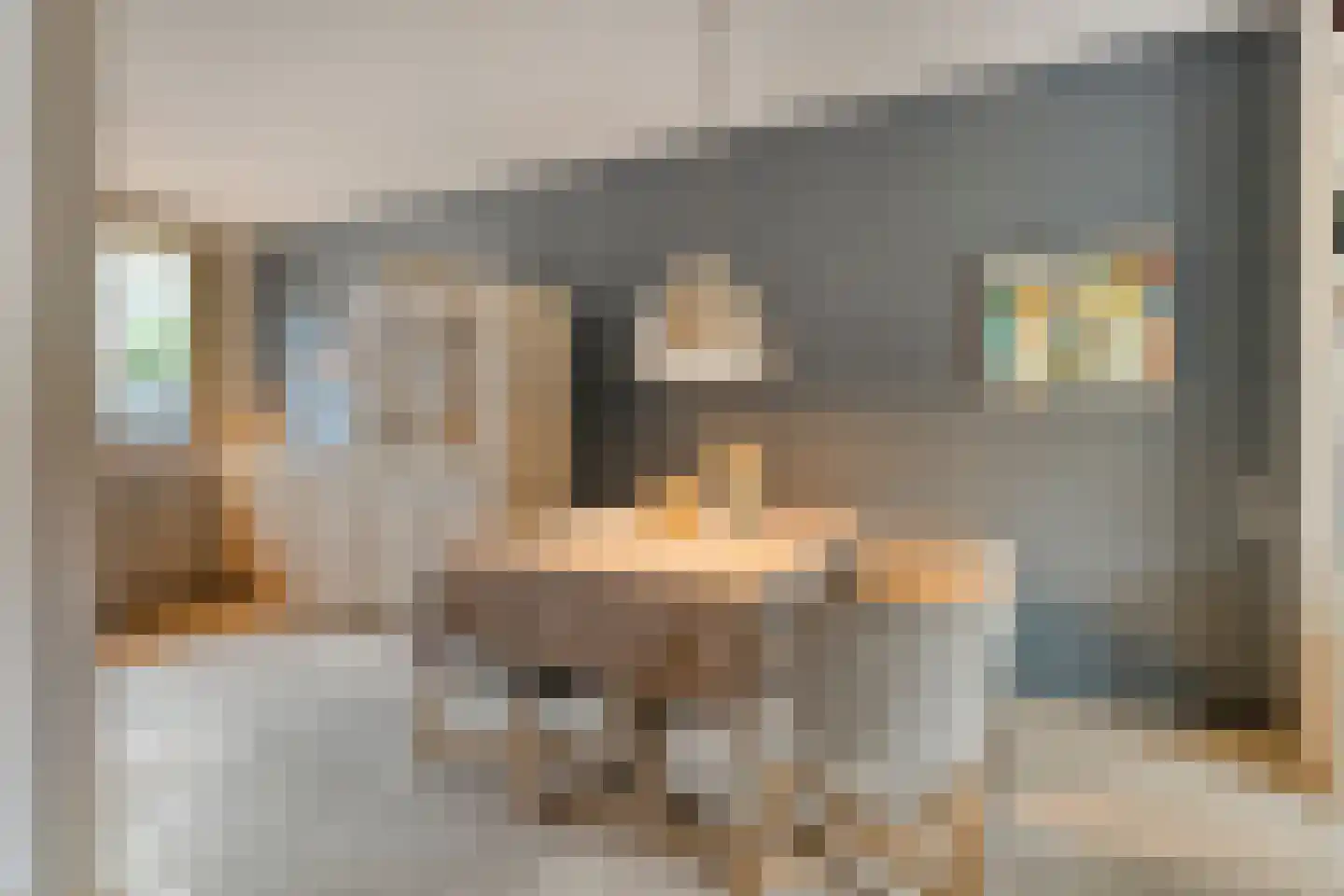 Aletta Jacobshof 62 Hoogeveen thumbnail 9