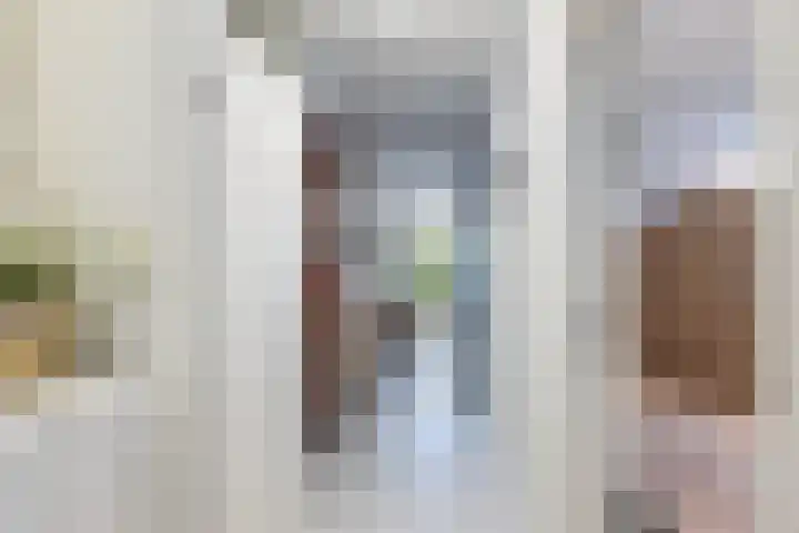 Aletta Jacobskade 106 Vlaardingen thumbnail 10