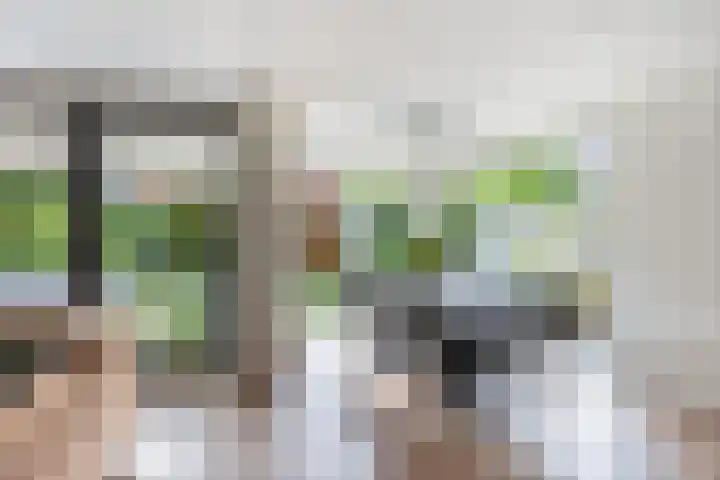 Aletta Jacobskade 106 Vlaardingen thumbnail 16