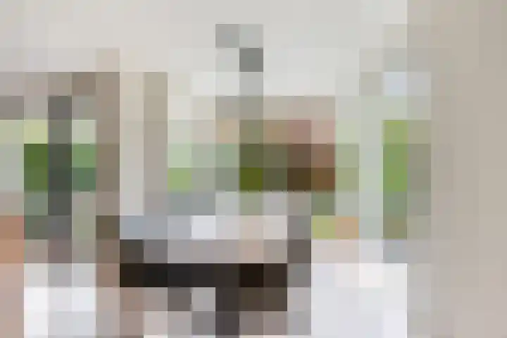 Aletta Jacobskade 106 Vlaardingen thumbnail 17