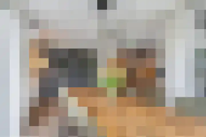 Aletta Jacobskade 106 Vlaardingen thumbnail 19