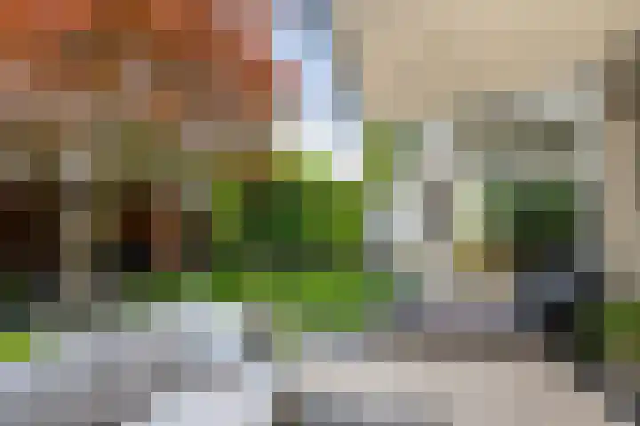 Aletta Jacobskade 106 Vlaardingen thumbnail 22