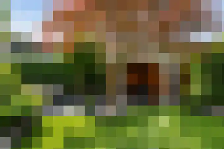 Aletta Jacobskade 106 Vlaardingen thumbnail 23