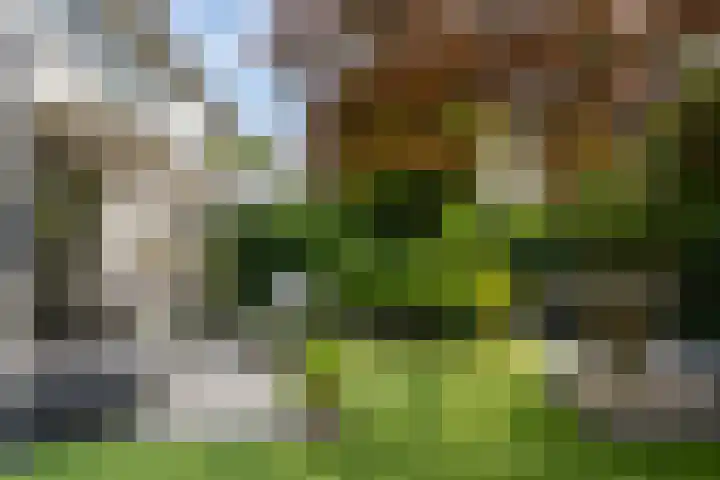 Aletta Jacobskade 106 Vlaardingen thumbnail 24
