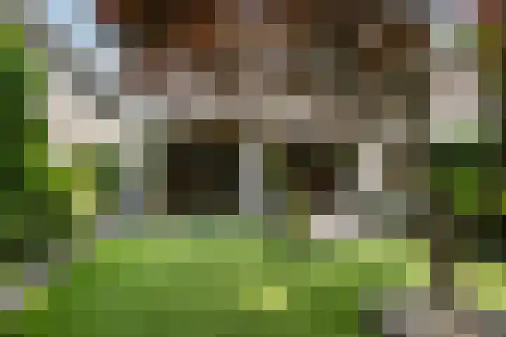Aletta Jacobskade 106 Vlaardingen thumbnail 26