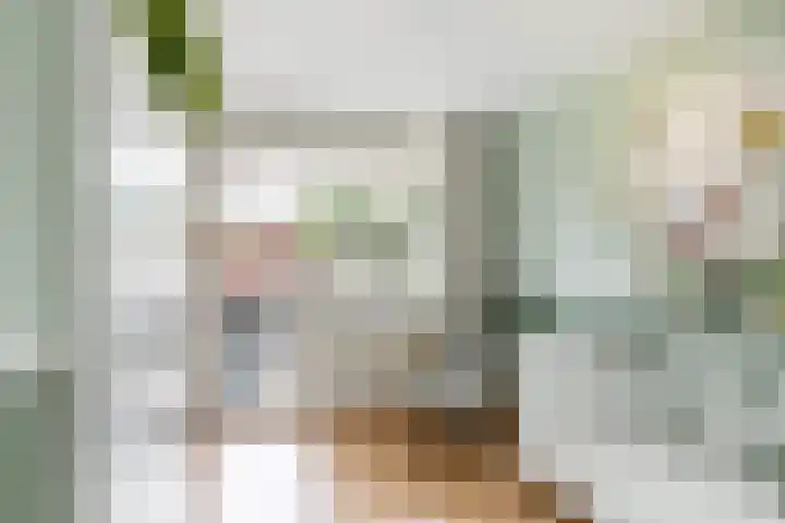 Aletta Jacobskade 106 Vlaardingen thumbnail 34