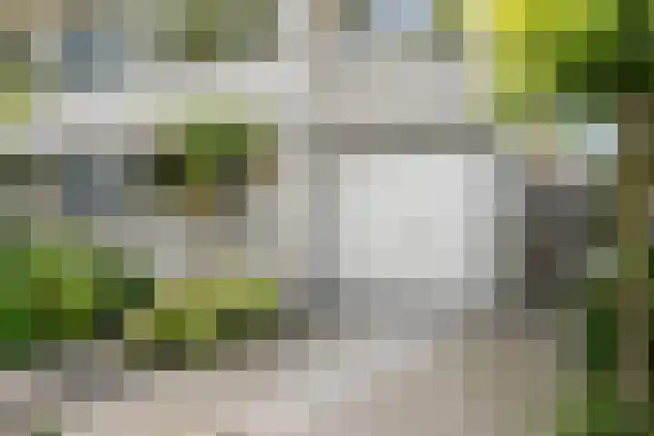 Aletta Jacobskade 106 Vlaardingen thumbnail 51