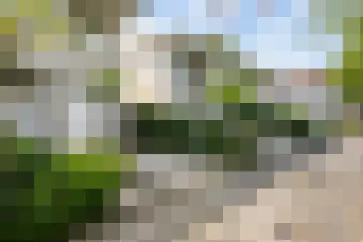 Aletta Jacobskade 106 Vlaardingen thumbnail 52