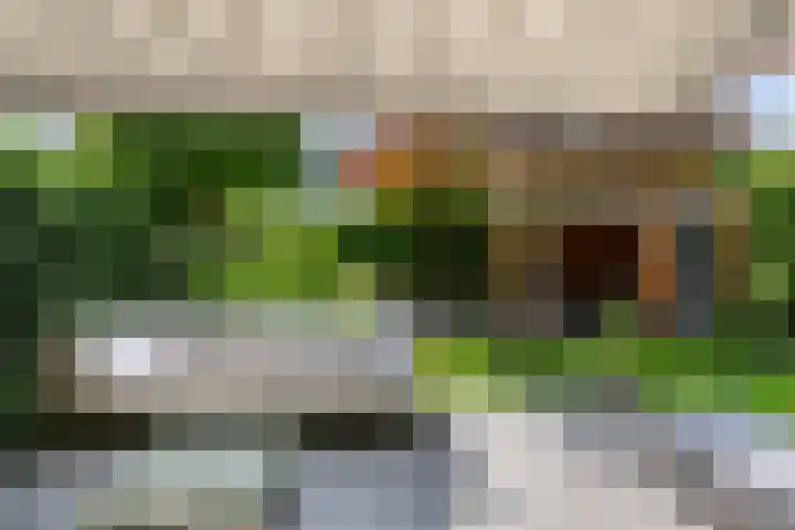 Aletta Jacobskade 106 Vlaardingen thumbnail 6