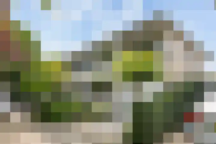 Aletta Jacobskade 106 Vlaardingen thumbnail 7