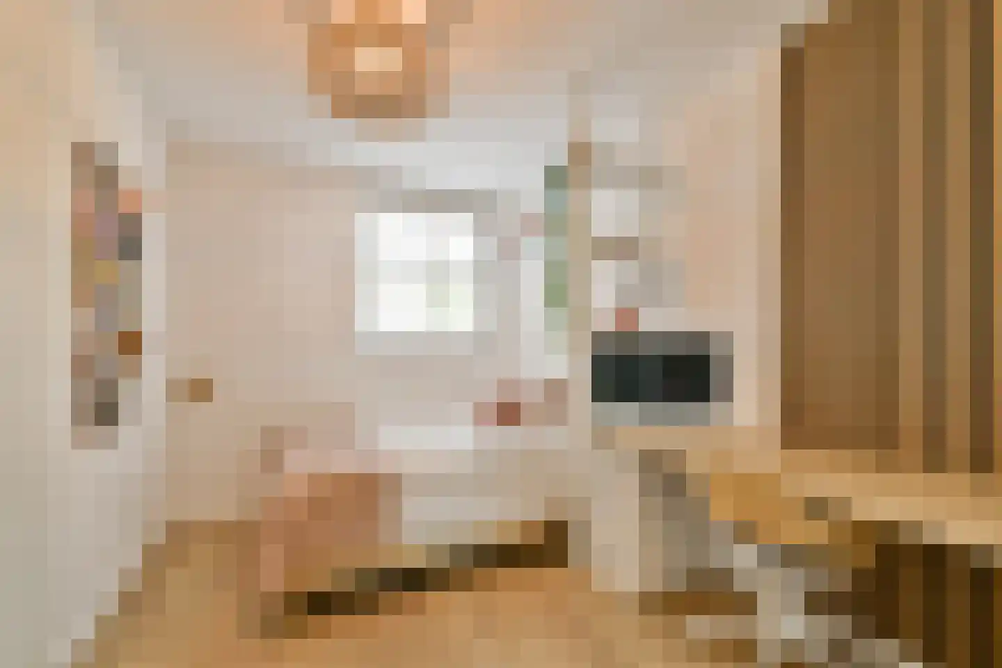 Aletta Jacobskade 137 Vlaardingen thumbnail 21