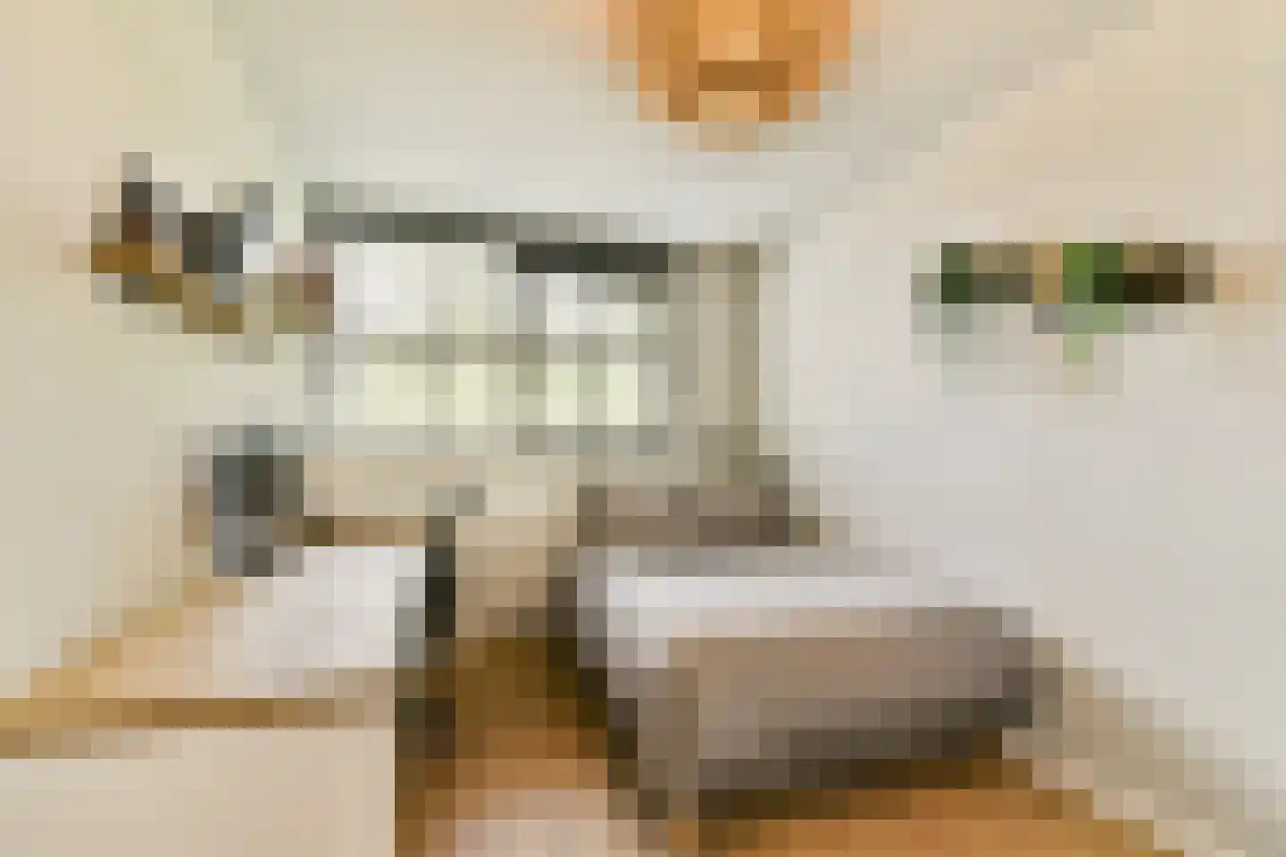 Aletta Jacobskade 137 Vlaardingen thumbnail 24