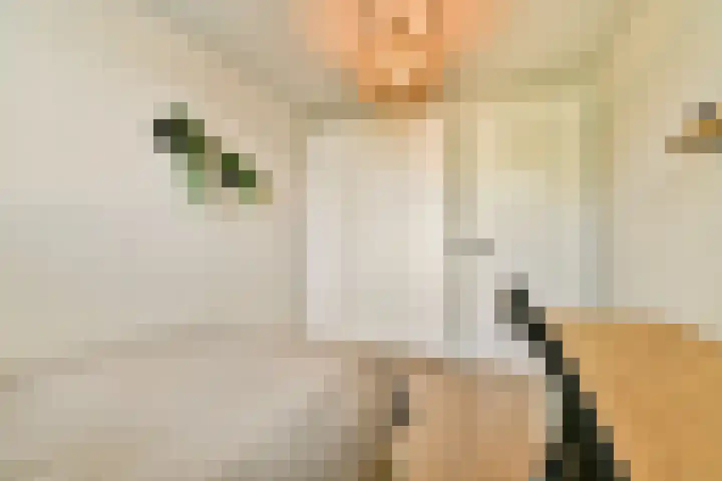 Aletta Jacobskade 137 Vlaardingen thumbnail 26