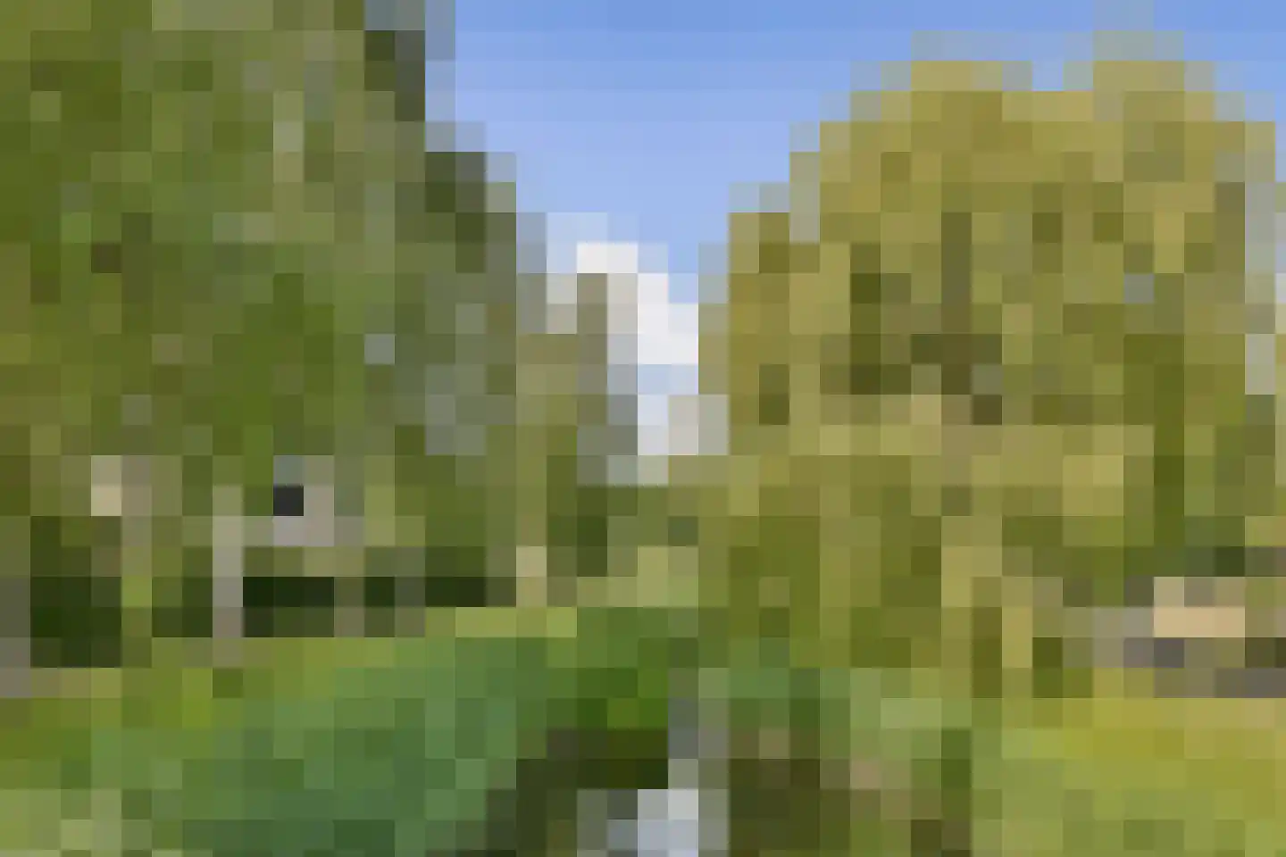 Aletta Jacobskade 137 Vlaardingen thumbnail 35