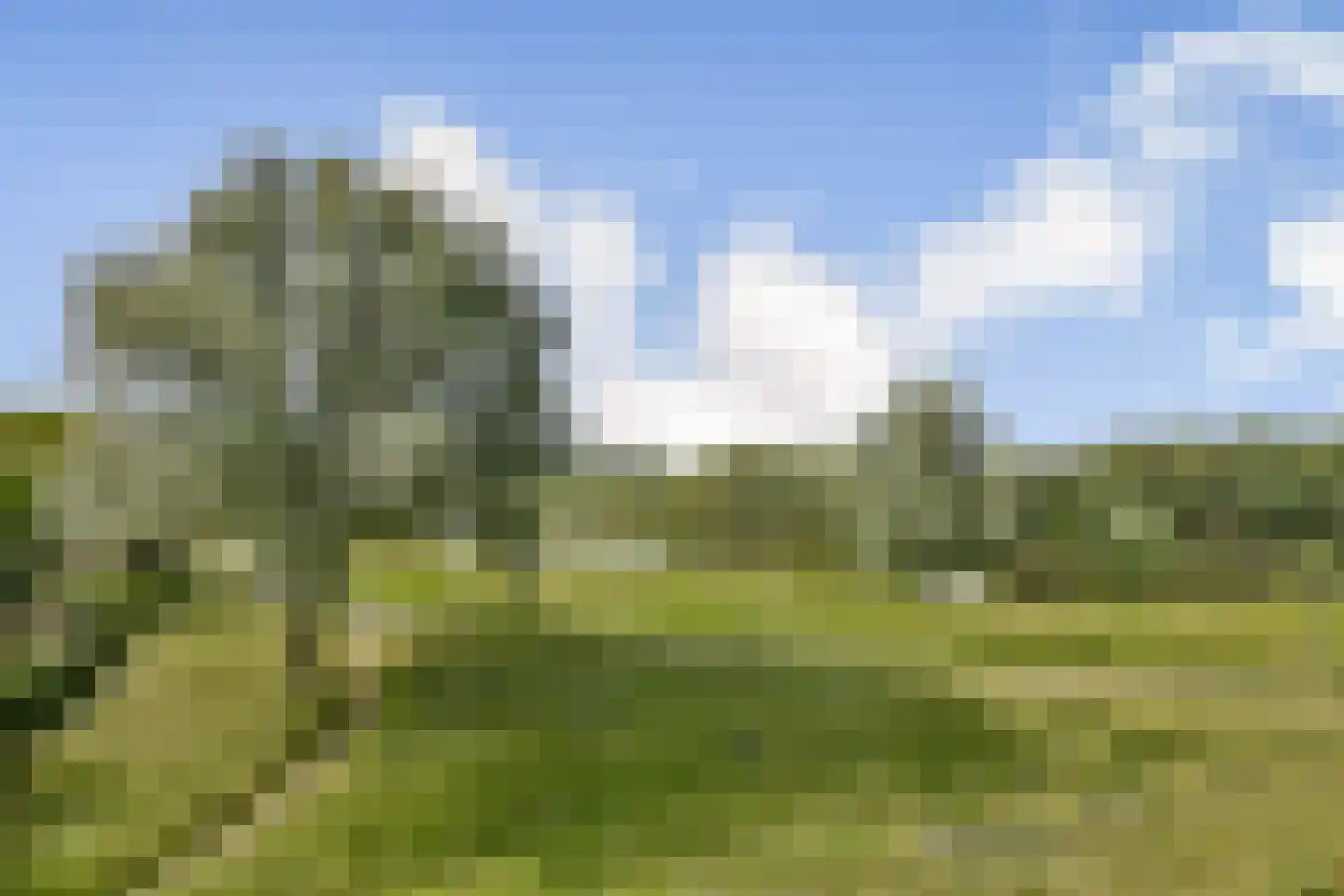 Aletta Jacobskade 137 Vlaardingen thumbnail 4