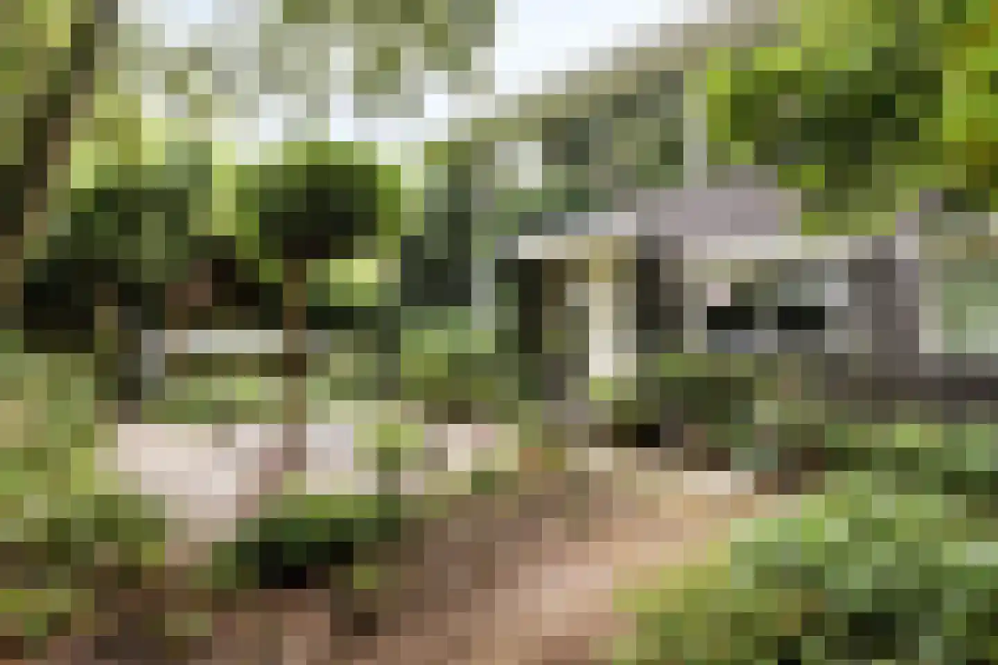 Aletta Jacobskade 204 in Vlaardingen