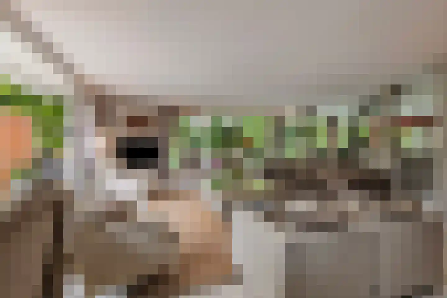 Aletta Jacobskade 204 Vlaardingen thumbnail 12