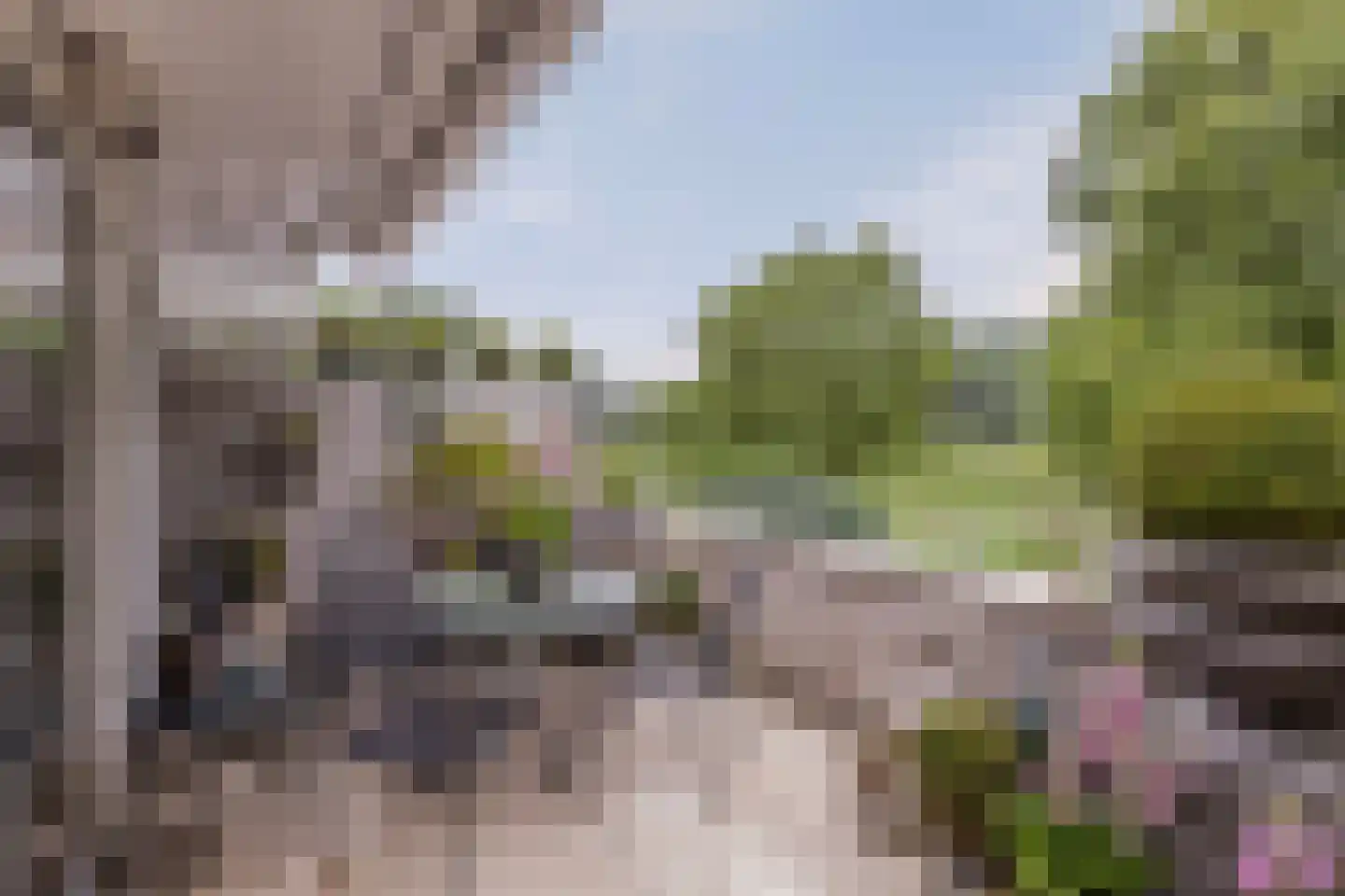 Aletta Jacobskade 204 Vlaardingen thumbnail 14