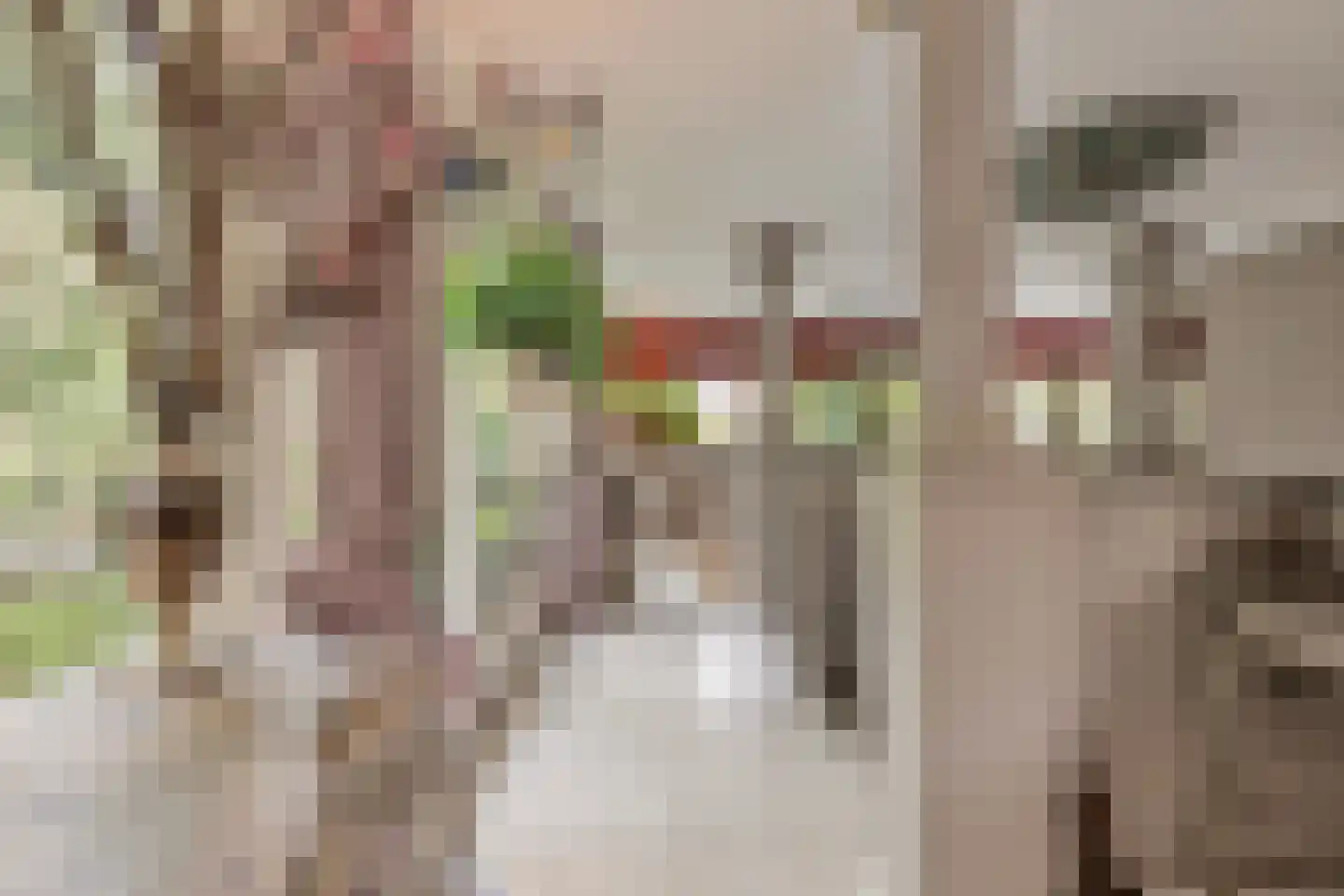 Aletta Jacobskade 204 Vlaardingen thumbnail 16