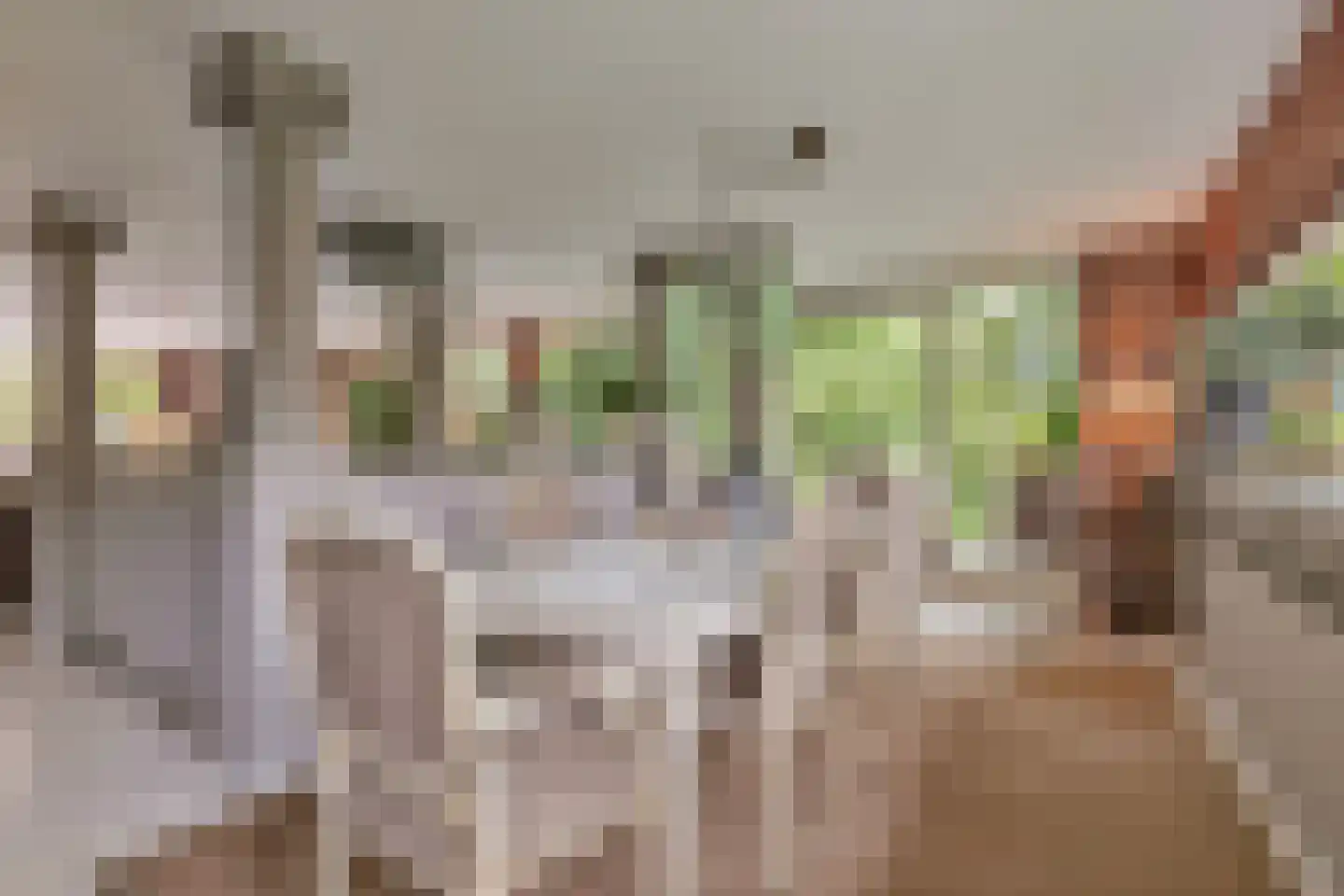 Aletta Jacobskade 204 Vlaardingen thumbnail 18