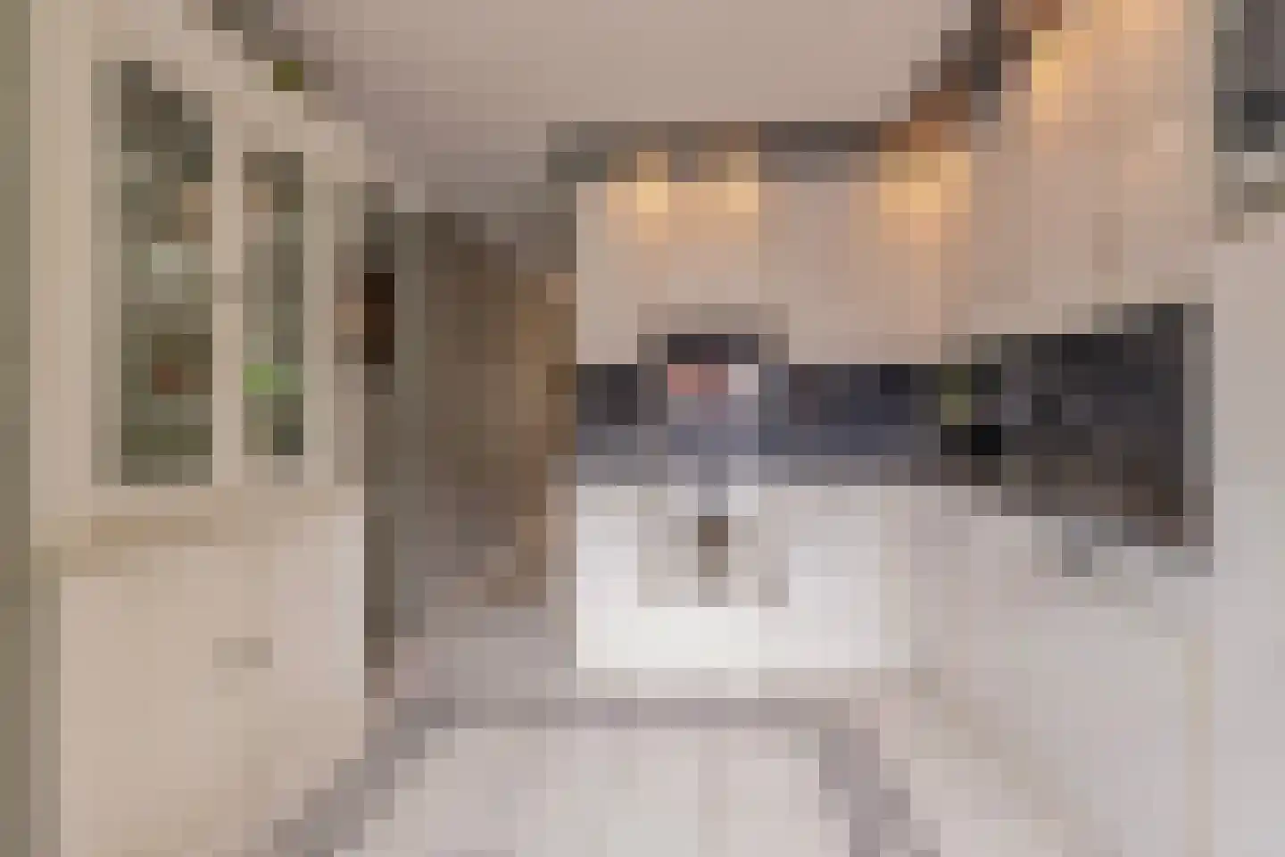 Aletta Jacobskade 204 Vlaardingen thumbnail 19