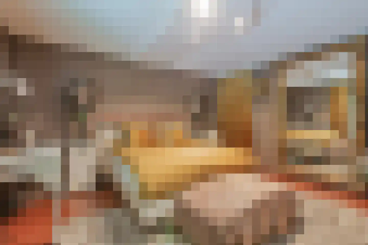 Aletta Jacobskade 204 Vlaardingen thumbnail 21