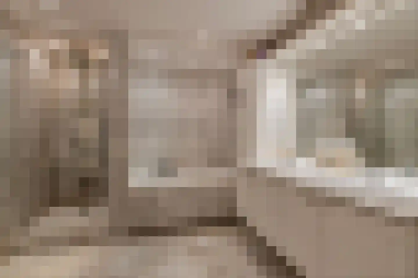 Aletta Jacobskade 204 Vlaardingen thumbnail 24