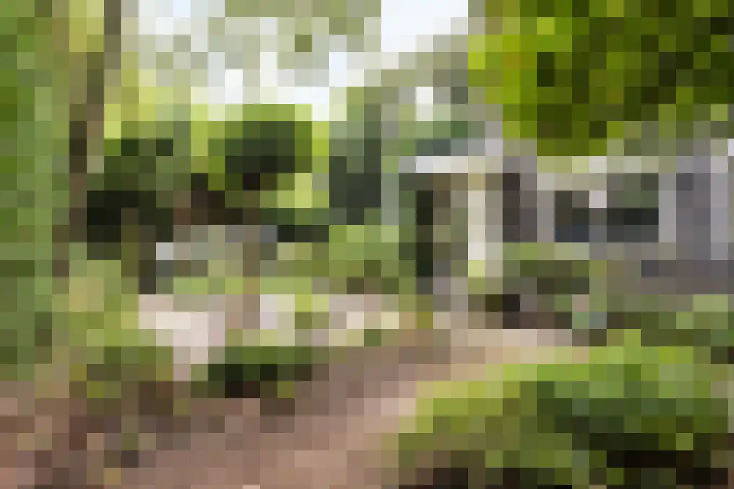 Aletta Jacobskade 204 Vlaardingen thumbnail 28