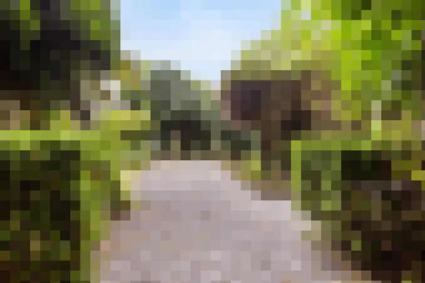 Aletta Jacobskade 204 Vlaardingen thumbnail 29