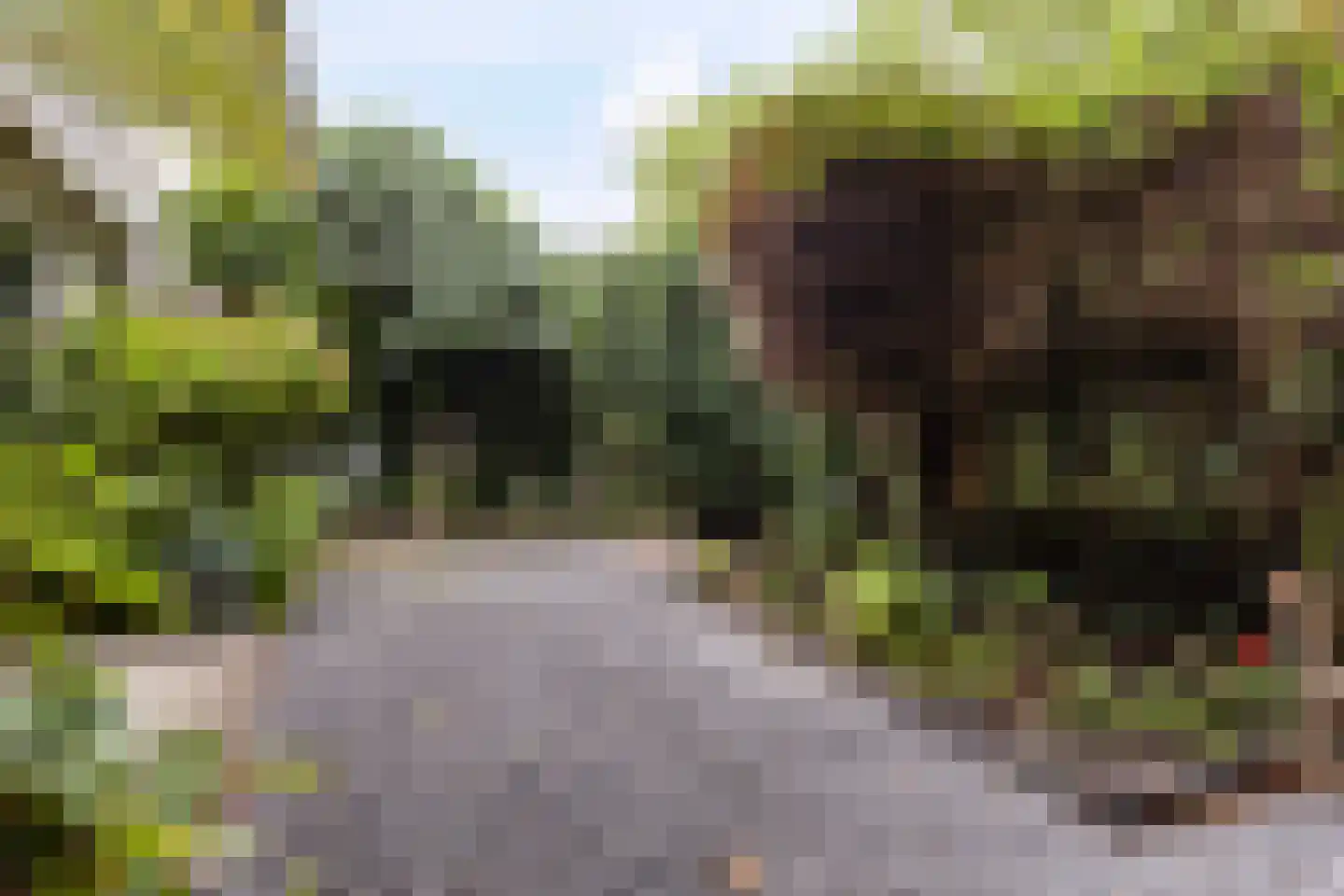 Aletta Jacobskade 204 Vlaardingen thumbnail 31
