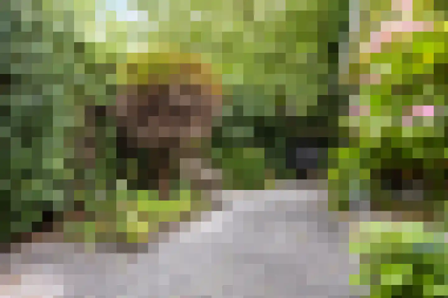 Aletta Jacobskade 204 Vlaardingen thumbnail 32