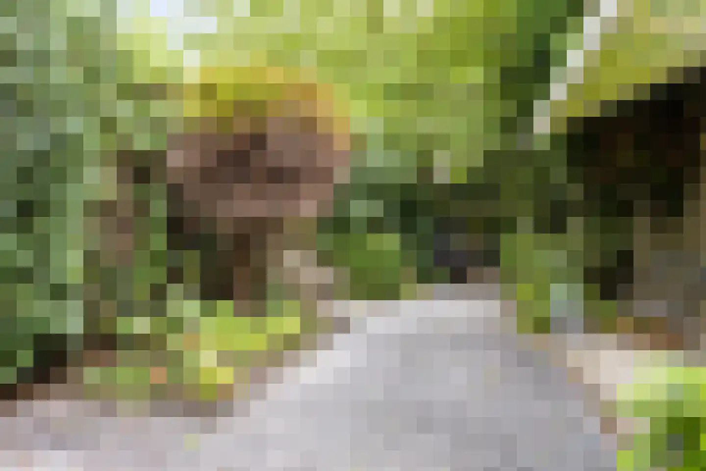Aletta Jacobskade 204 Vlaardingen thumbnail 33